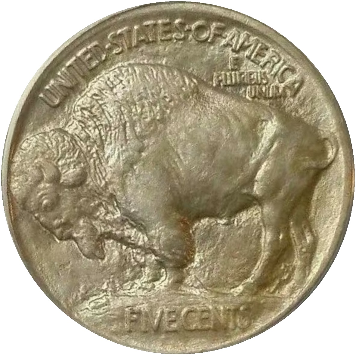 1913-5c-T1-Buffalo-Nickel-#7